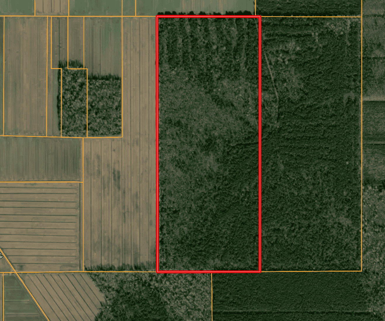 146-Acre Prime Hunting & Timber Land for Sale in Beaufort County, NC